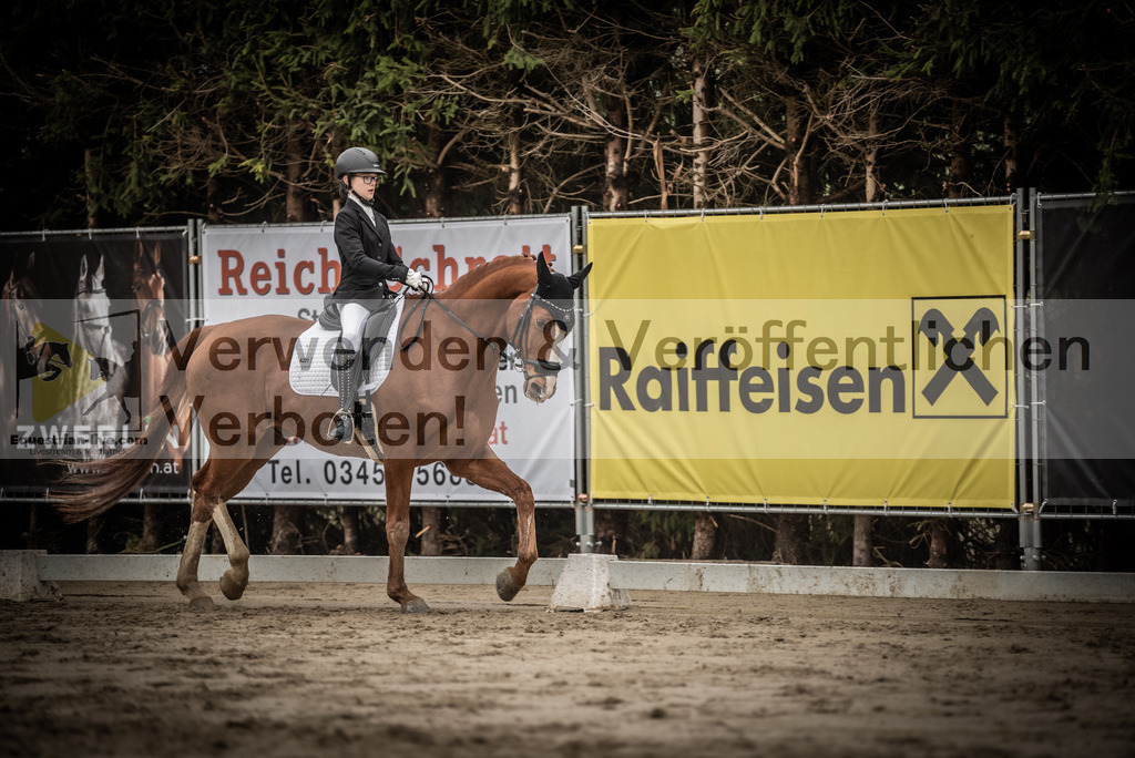 DSC_0267 | equestrian-live-com