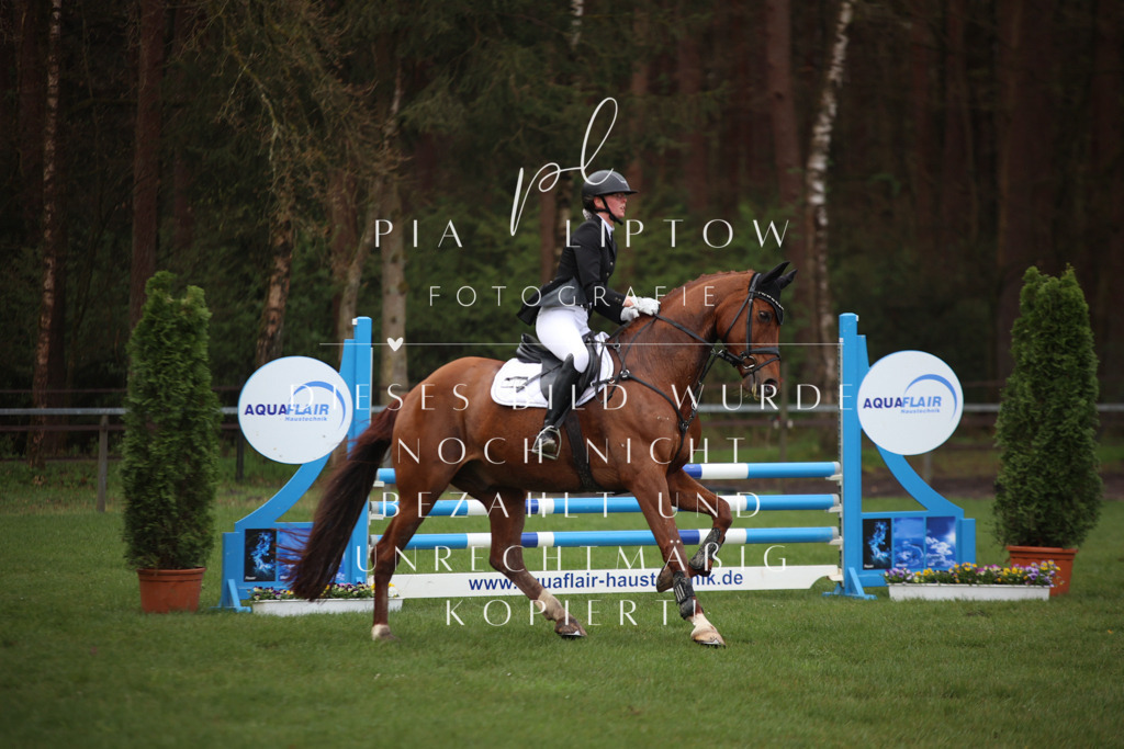 IMGT2472 | pl-fotografie