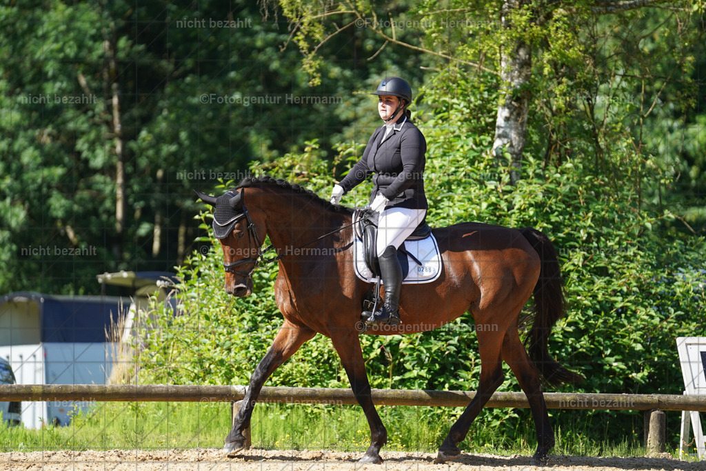20240706-FAH04609 | Grafing Turnierfotos, Reitverein Ebersberg, Turnierfotografen Bayern, reitsportbilder, Pferdefotograf, reitsportfotograf, Sportbilder, Reitsportfotografie, Fotoagentur Herrmann, Turnierfotograf