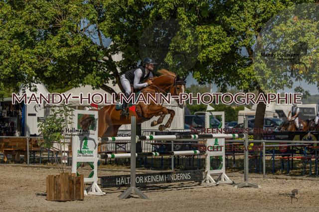26-7-24 SPF M+-517 | mandyhollmannphotographie