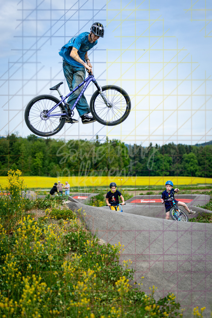 2T7A4986-2 | See something different - Realisiert mit Pictrs.com