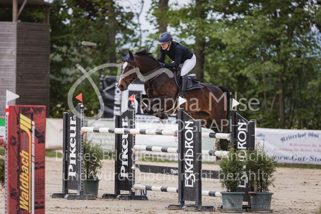 250504_SpengeW_M2-Spr-449 | Deine schönsten Turniermomente als professionelle Fotos! Entdecke hochwertige Pferdesport-Fotografie im Online-Shop. Jetzt Fotos finden & bestellen!