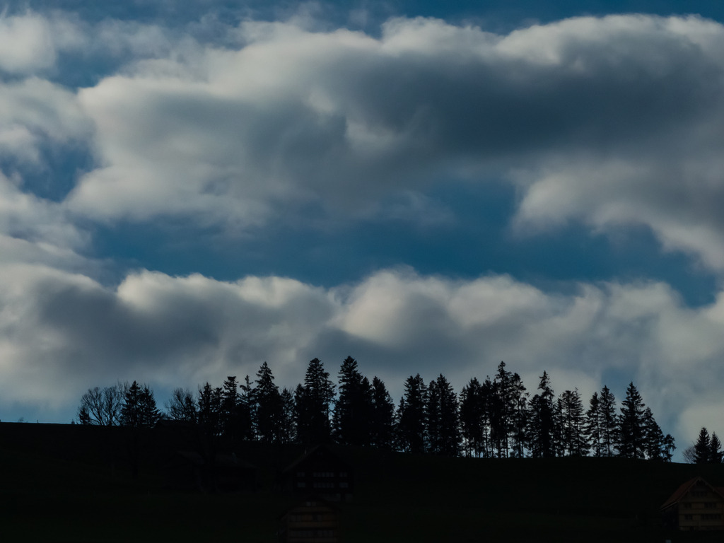 PSX_20230404_230524 | mtkfoto_ - Realisiert mit Pictrs.com