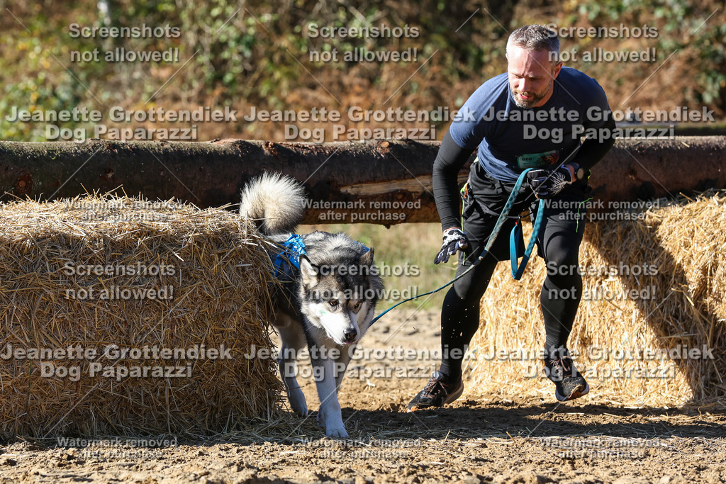 Dog Paparazzi - Strongdog 10-25-2627 | Dog Paparazzi Jeanette Grottendiek Fotografie & Videografie - Realisiert mit Pictrs.com