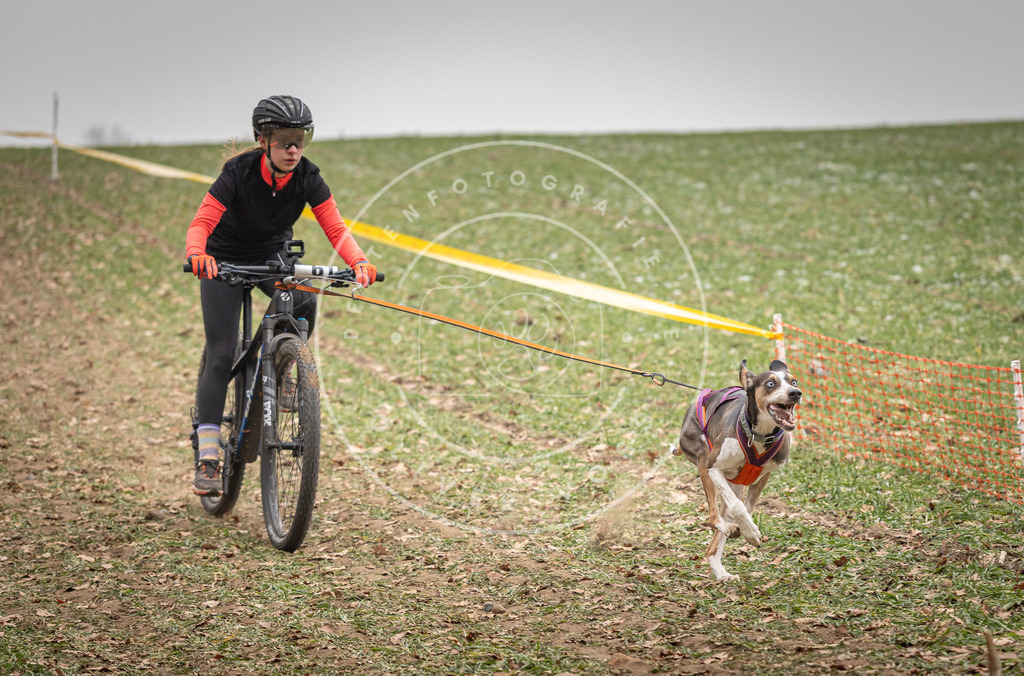 Pfotenfotografie_DV3A2656 | Hundefotografie, Tierfotograf, Pfotenfotografie, Fotoshooting Hund, Hunde Portrait, Hundesport, Hundeportraits, Heideshooting, Hunde, Sportfotograf, Hundefotograf, Turnierhundsport, THS,  - Realisiert mit Pictrs.com