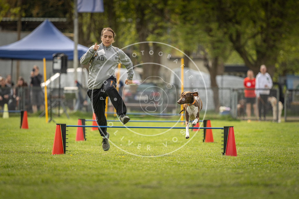 Pfotenfotografie_DV3A5880 | Hundefotografie, Tierfotograf, Pfotenfotografie, Fotoshooting Hund, Hunde Portrait, Hundesport, Hundeportraits, Heideshooting, Hunde, Sportfotograf, Hundefotograf, Turnierhundsport, THS,  - Realisiert mit Pictrs.com