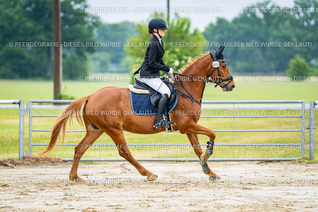 DSC02679 | Pferdegrafie