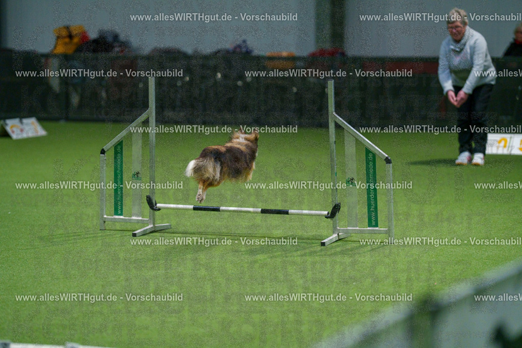 7R504831 | Professionelle Tierfotografie in Mönchengladbach von Daniel Wirth (allesWIRTHgut). Liebevolle & natürliche Bilder von Hunden & Katzen für unvergessliche Erinnerungen.