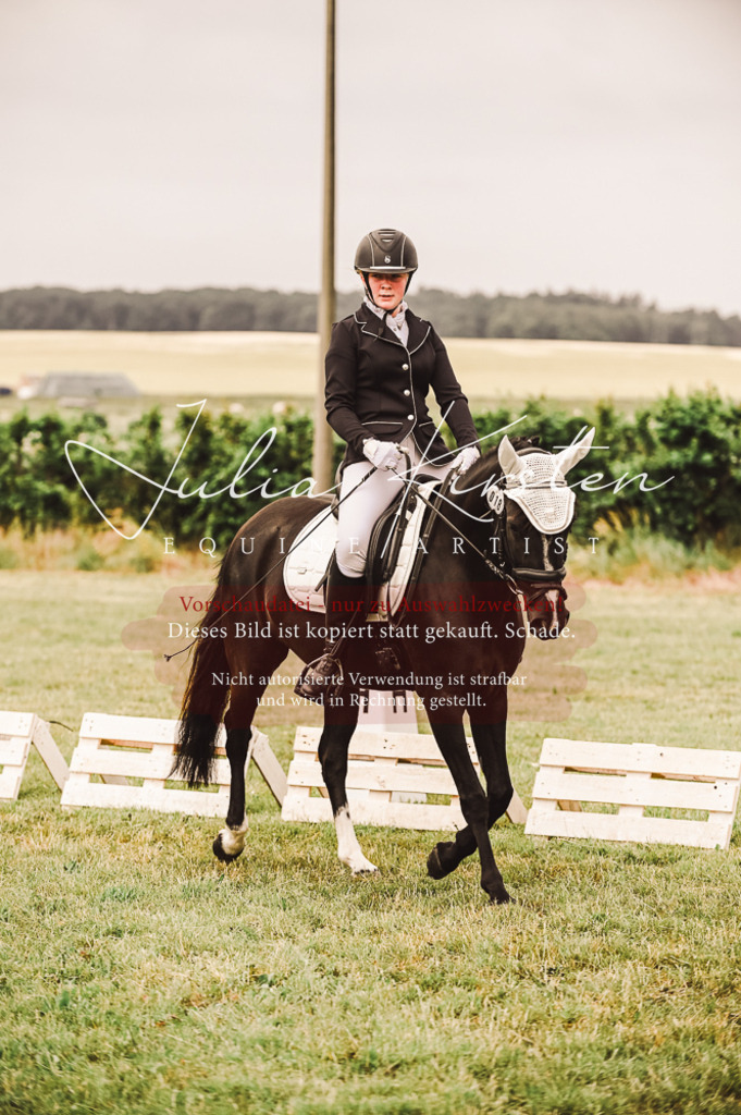 DSC_4854 | Pferde- und Turnierfotografie in Westsachsen. Pferdeportraits, Auftragszeichnungen und intuitive Kunst.