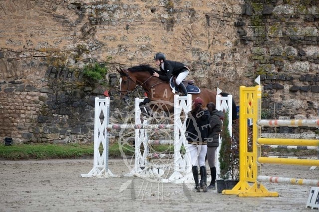 2B4A3456 | pixelfaenger - Realisiert mit Pictrs.com