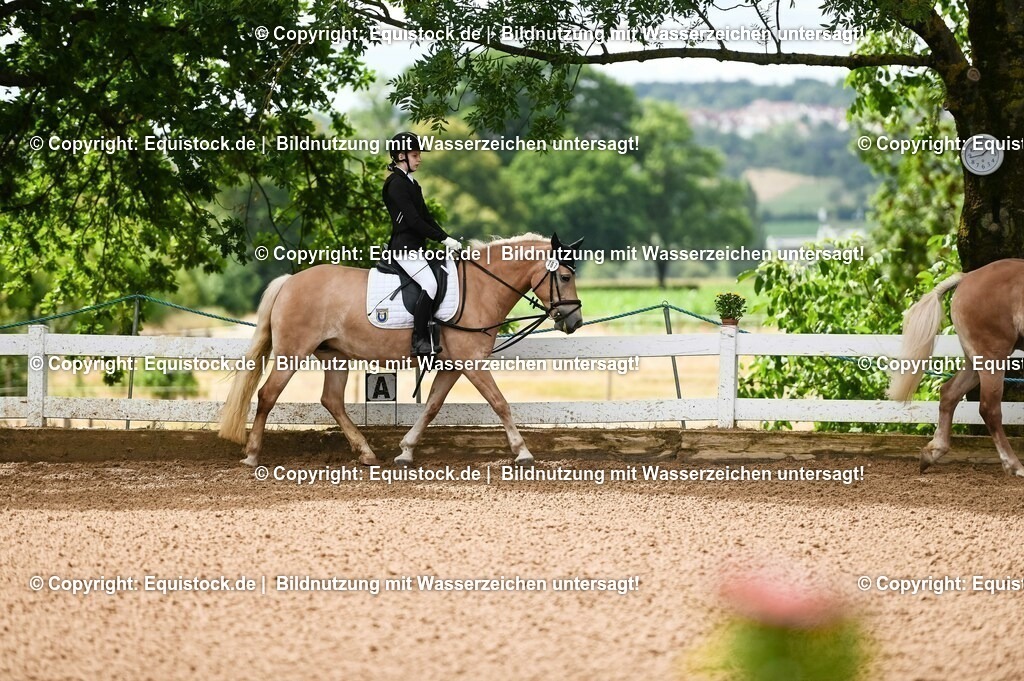 20230716_10-1_Reiter-WB Schritt - Trab - Galopp_0065 | equistock