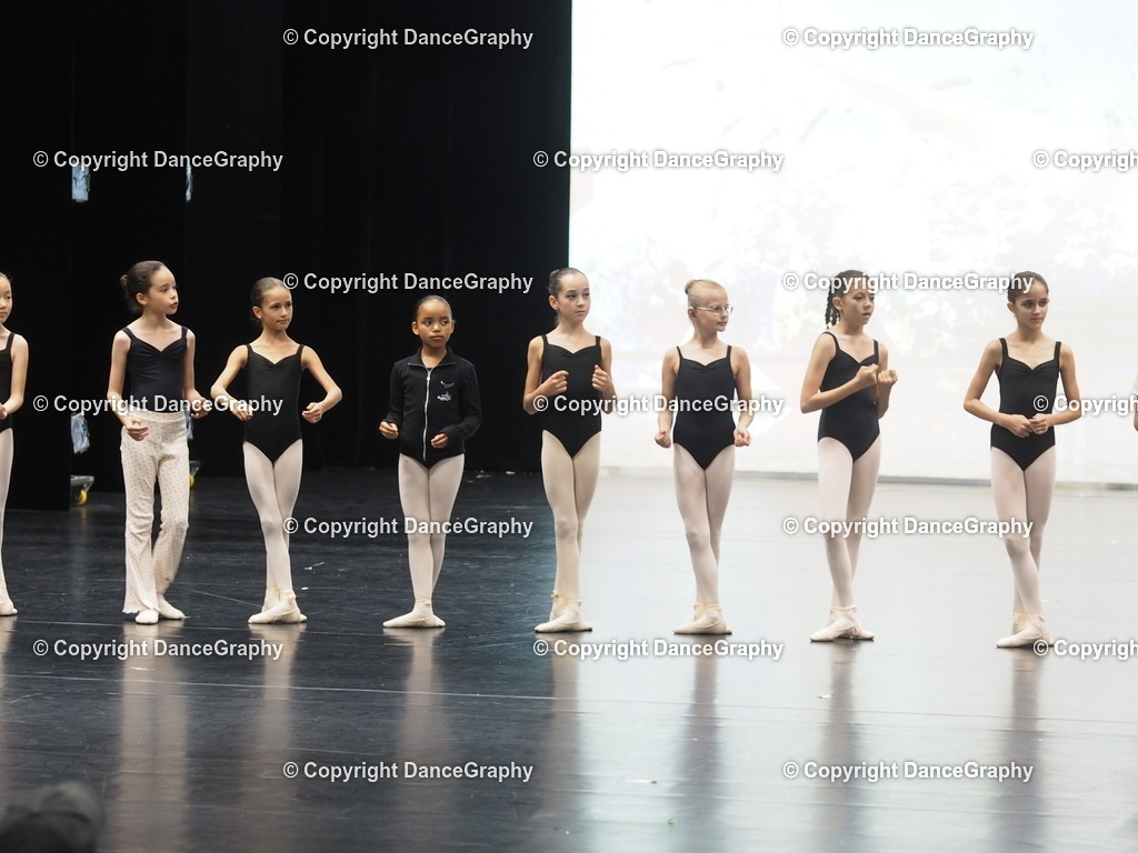 P7260281 | DanceGraphy - Realisiert mit Pictrs.com