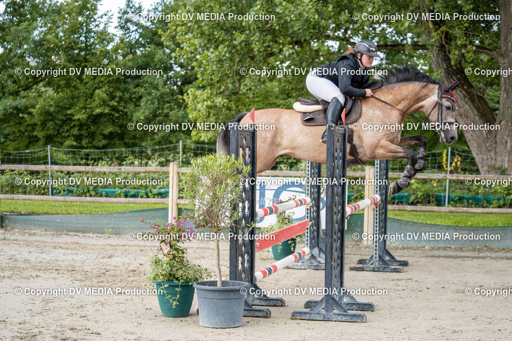 Hessische Tag 1-080 | dv-media-shop - Realisiert mit Pictrs.com