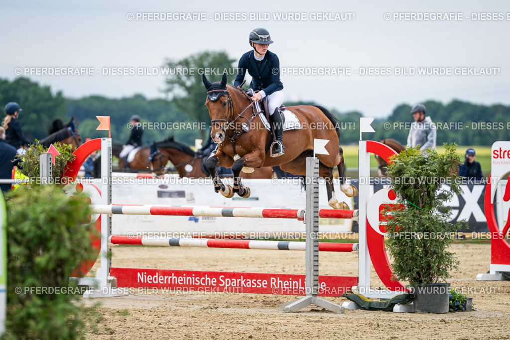 DSC05026 | Pferdegrafie