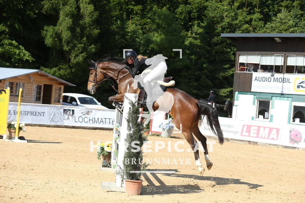 DL2Q0837 | Willkommen bei Brunnmayr - Design & Fotografie – Ihrem Spezialisten für Reitturniere und Pferdeveranstaltungen in Oberösterreich, Salzburg und Bayern! Seit über 17 Jahren sind wir leidenschaftlich dabei.