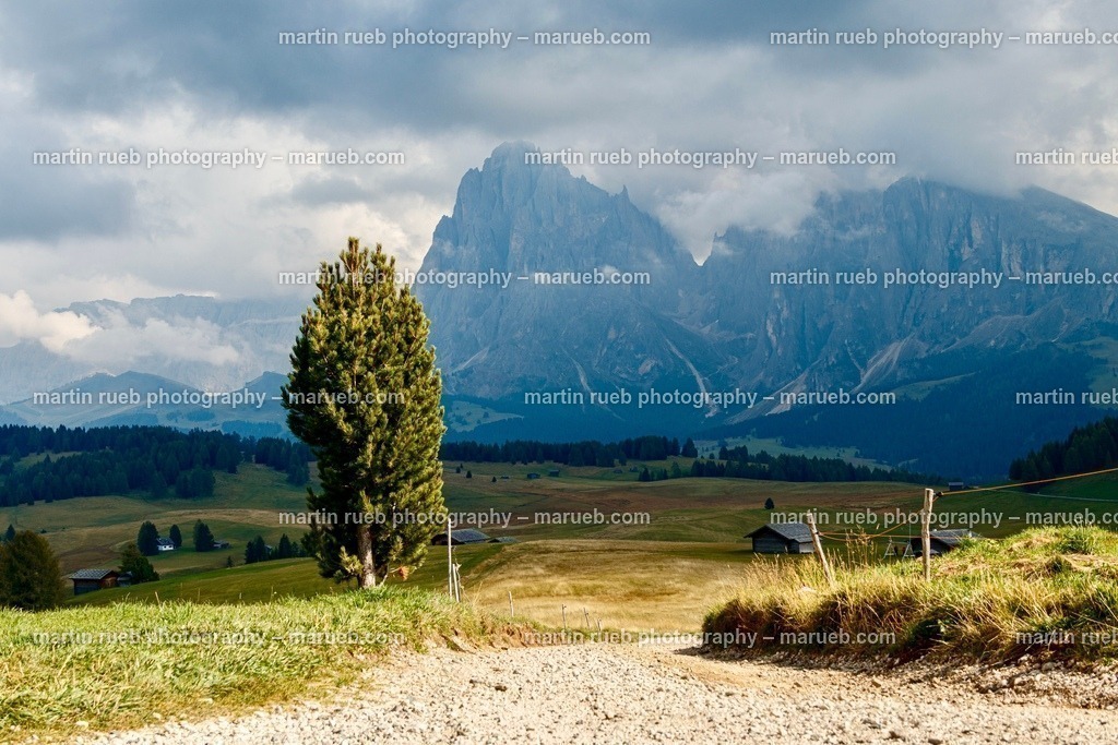 Trails of South Tyrol | Hiking trail at South Tyrol  - Realisiert mit Pictrs.com