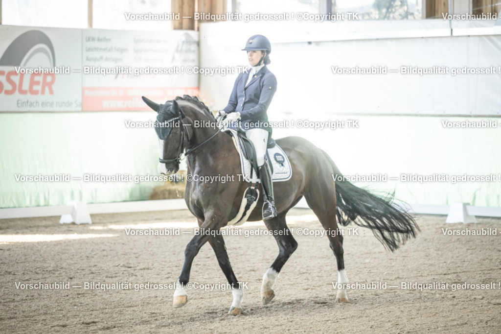 _D5A0643 | Emotionale Pferde- & People-Fotografie rund um Heidelberg, Leimen & Umgebung. Natürliche Fotos von Pferd, Mensch & Familie. Jetzt Termin sichern!