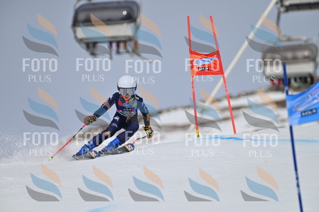 BGV_3923 | holidayphoto