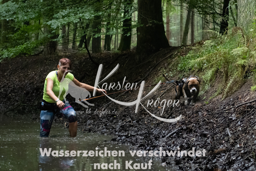 0951_ZZ91309-Bearbeitet | kk-dogfotos