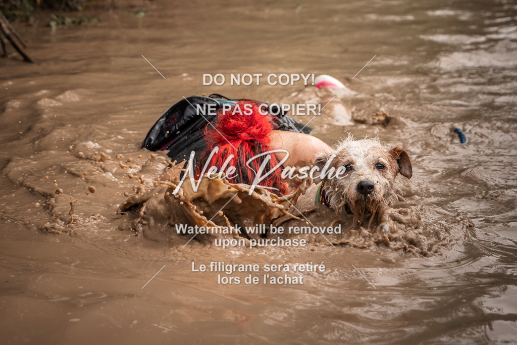 nelerasche_Hoope2026_So1030-1100_170 | nelerasche