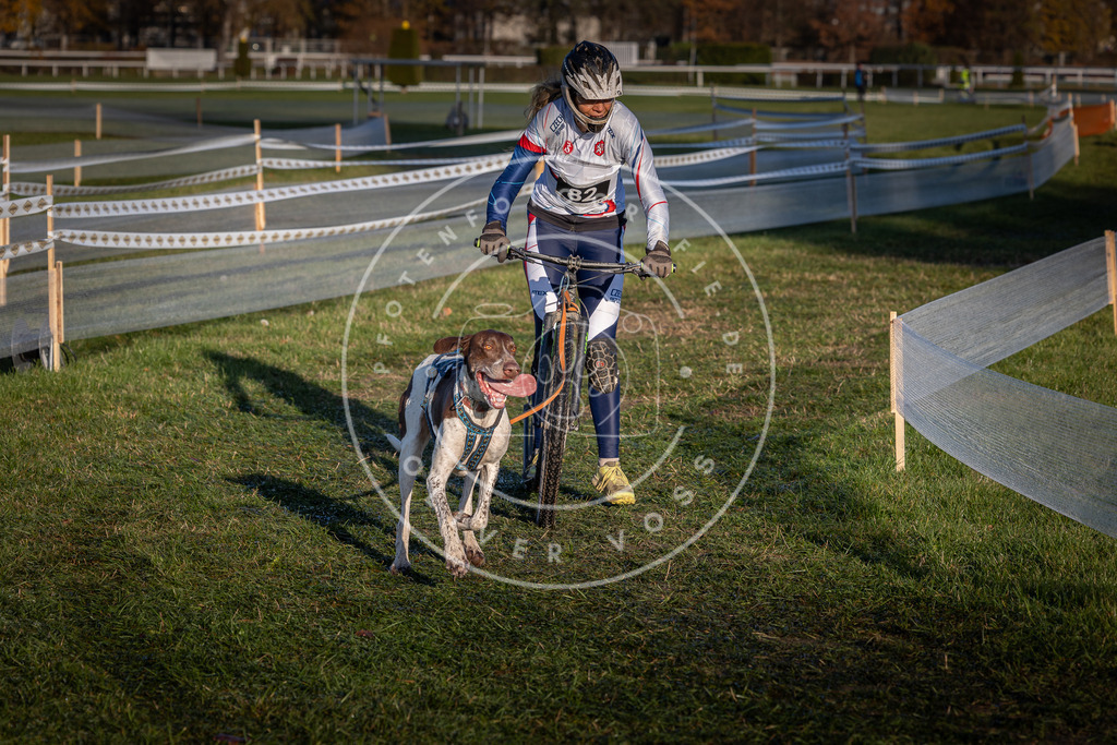 CaniXpix_0L8A3734 | Hundefotografie, Tierfotograf, Pfotenfotografie, Fotoshooting Hund, Hunde Portrait, Hundesport, Hundeportraits, Heideshooting, Hunde, Sportfotograf, Hundefotograf, Turnierhundsport, THS,  - Realisiert mit Pictrs.com