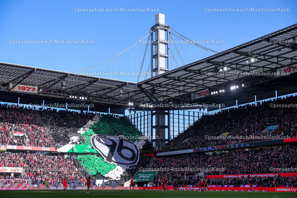 1FC30112402151 | 30.11.2024, Fußball, 1. FC Köln - Hannover 96, 2. Fußball Bundesliga, RheinEnergieSTADION, Saison 2024 2025: Choreografie im Gästeblock der 96FansDFB regulations prohibit any use of photographs as image sequences and or quasi-video.