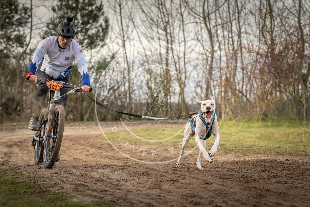 Pfotenfotografie_DV3A7923 | Hundefotografie, Tierfotograf, Pfotenfotografie, Fotoshooting Hund, Hunde Portrait, Hundesport, Hundeportraits, Heideshooting, Hunde, Sportfotograf, Hundefotograf, Turnierhundsport, THS,  - Realisiert mit Pictrs.com