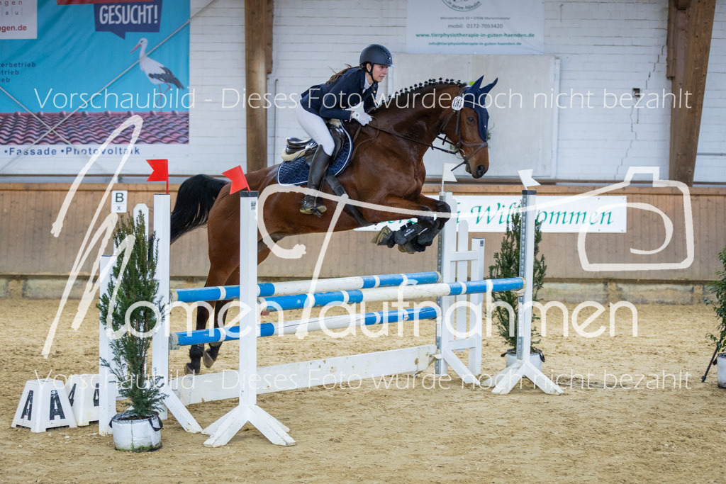 Sth-LPO25-A2St-035 | MomenTaufnahmen Pferdesportfotos