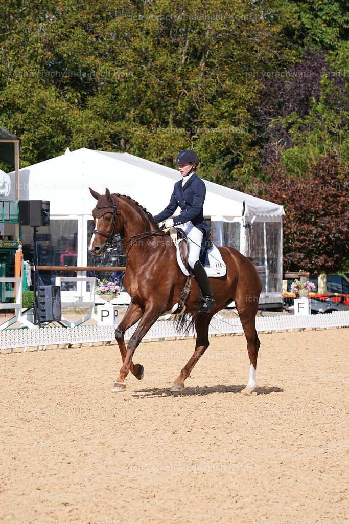 09_2-114-DRESSUR  S_  -Marixx-5988 | working equitationturnier fotograf videograf stoibphotography marixx film working equitation deutschland reitsport turnierfotografie eventfotografie equestrian events