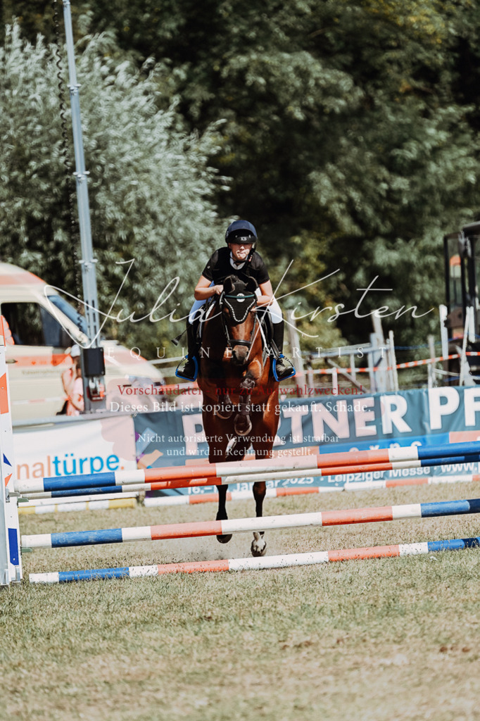 DSC_9905 | Pferde- und Turnierfotografie in Westsachsen. Pferdeportraits, Auftragszeichnungen und intuitive Kunst.