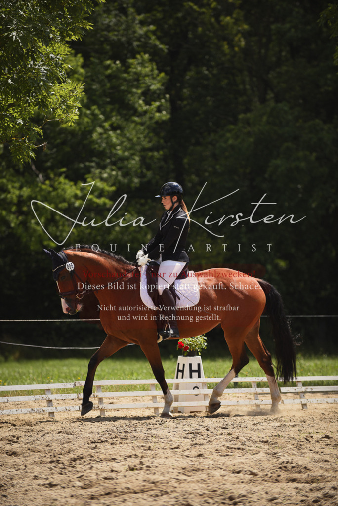 DSC_1244 | Pferde- und Turnierfotografie in Westsachsen. Pferdeportraits, Auftragszeichnungen und intuitive Kunst.