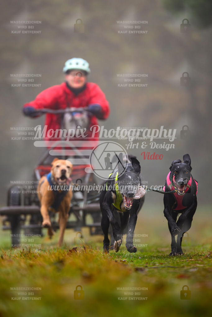 MompixPhotography_Bischwiller2025_Kart-16 | mompixphotography