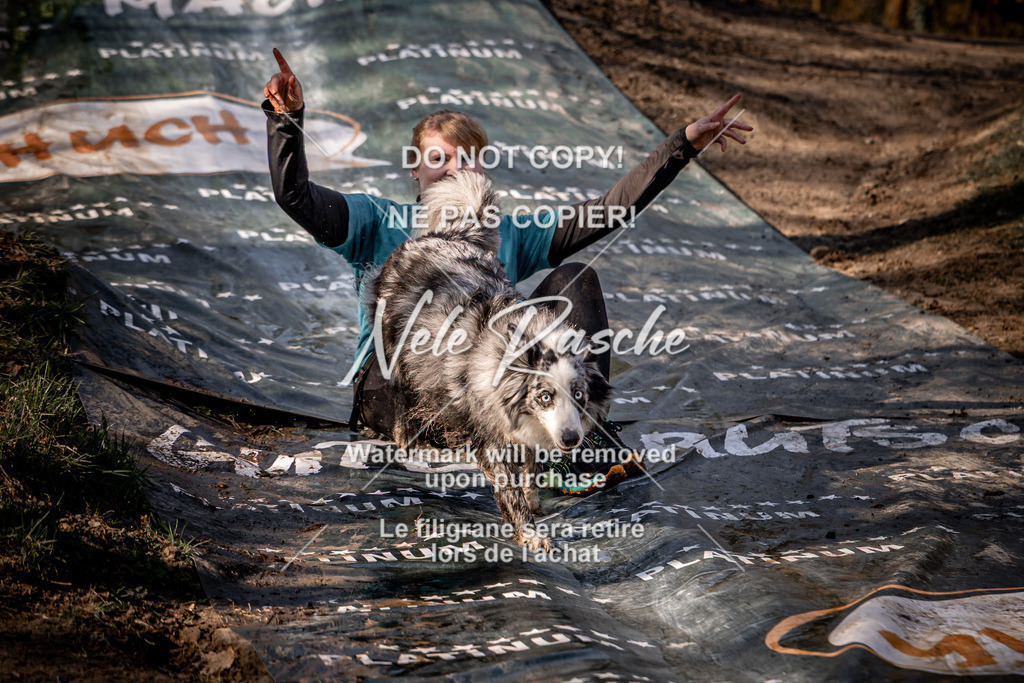 nelerasche_CCNL26_So0945-1030_384 | nelerasche