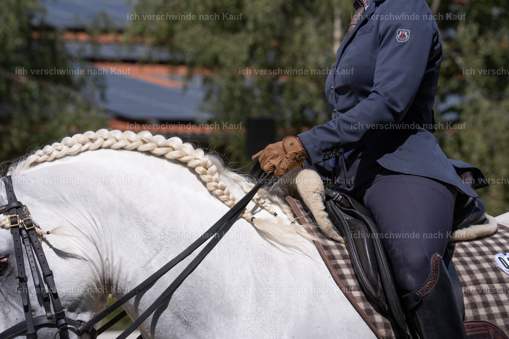 WS_DR_28_sinafilmart_IN08328 | working equitationturnier fotograf videograf stoibphotography marixx film working equitation deutschland reitsport turnierfotografie eventfotografie equestrian events