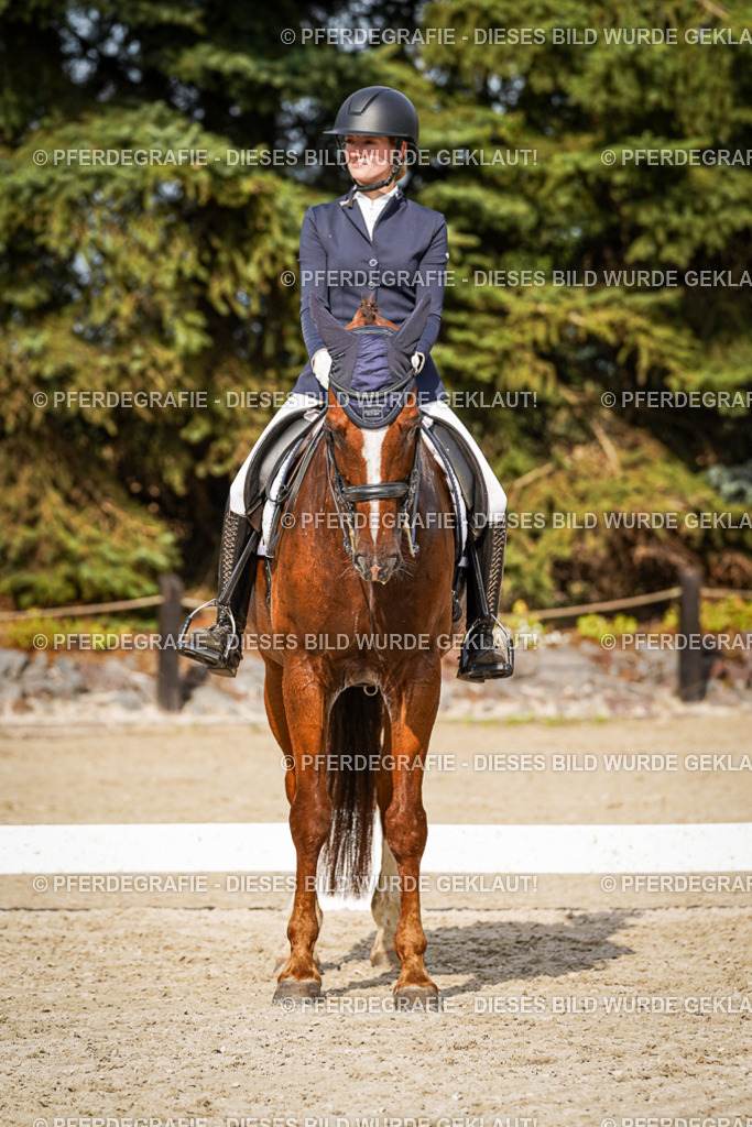 DSC07522 | Pferdegrafie