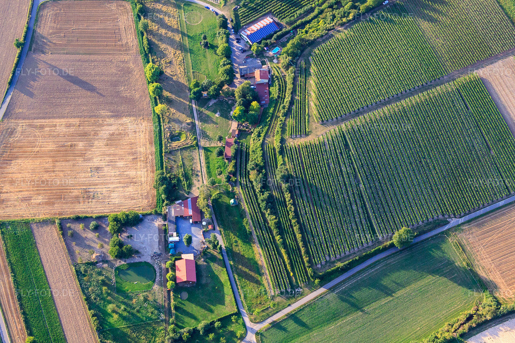 Luftbild: Ranch Herxe in Herxheim bei Landau im Bundesland Rheinland-Pfalz in Deutschland. Foto: IMG_51376.jpg vom 04.08.2012 durch Werner Riehm/FLY-FOTO.de