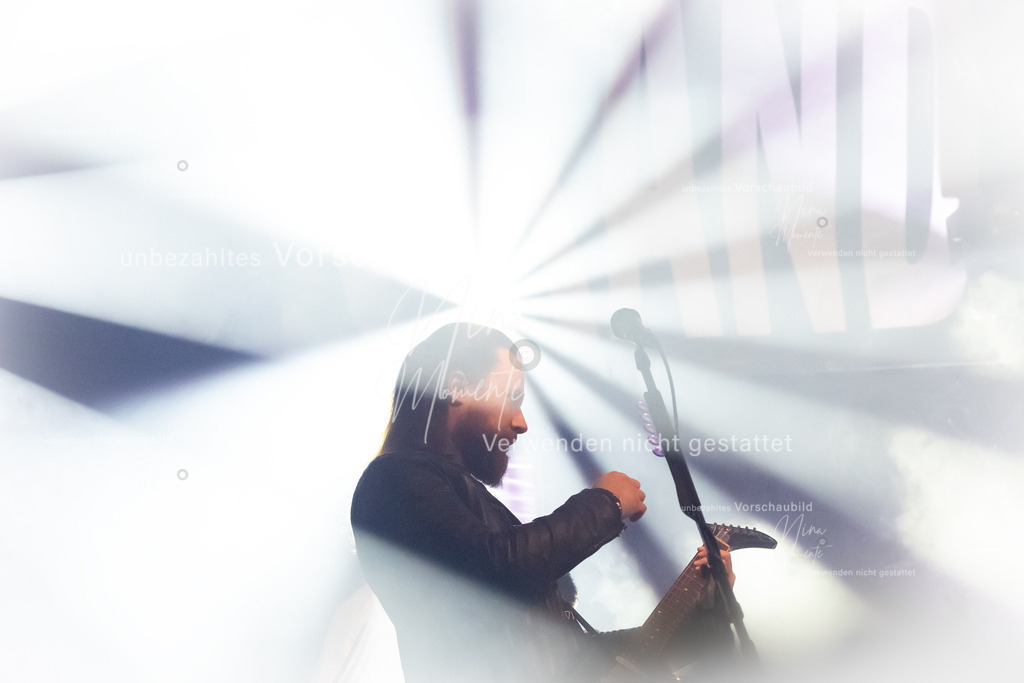 _16A8540-1 | Einzigartige Fotos von Hunden & Menschen –Actionfotos, Portraits, Vereinsaufnahmen & Paarshootings – authentisch, lebendig & mit Herz.