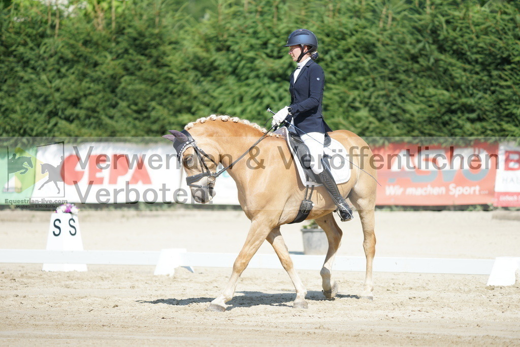 DSC02968 | equestrian-live-com