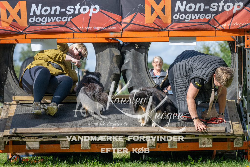 1549_ZZ94347 | kk-dogfotos