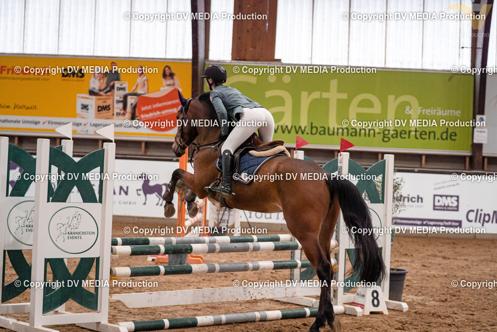 Kranichstein II Tag 1-18 | dv-media-shop - Realisiert mit Pictrs.com