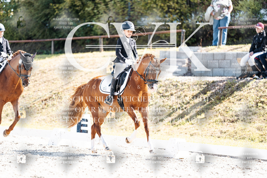 CK903100 | Turnierfotografie Pferdefotografie Trier Rheinland-Pfalz Pferdesport Reitsport Tierfotografie Sportfotografie Pferdevideo Pferdevideografie Equestrianvideography equestrianphotography  - Realisiert mit Pictrs.com
