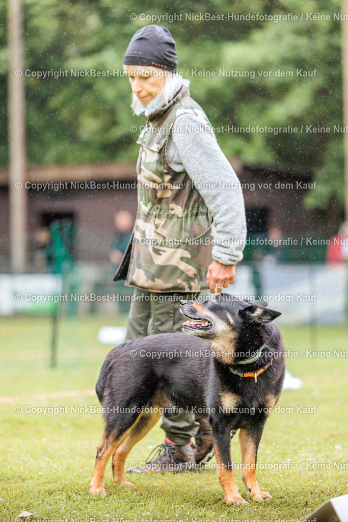 RO-Blumenthal-2026-Nickbest-Hundefotografie-4034 | Dein Hund! Dein Moment! Deine Erinnerungen! Hundefotografie in Bremen Blumenthal. Ich fange die besonderen Momente deines Vierbeiners ein – ob Indoor mit Blitzanlage oder in der freien Natur. Sicher dir dein Moment und dein Termin für eure Erinnerungen.