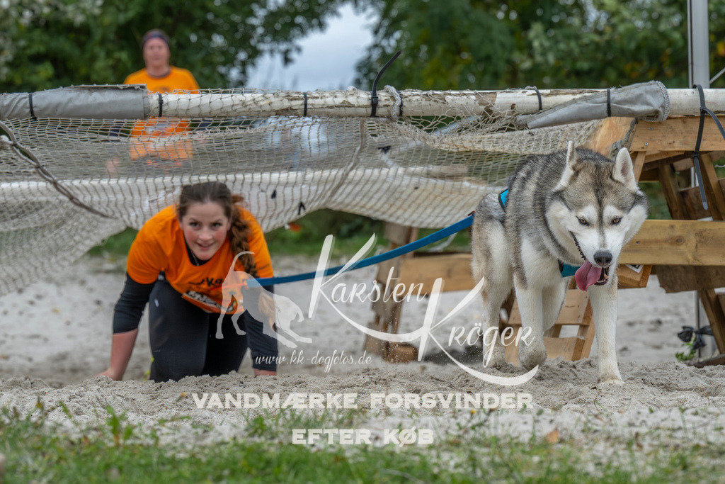 1031_ZZ94086 | kk-dogfotos