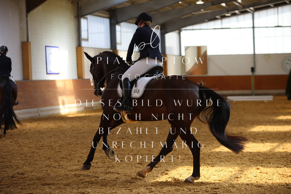 IMGT4788 | pl-fotografie