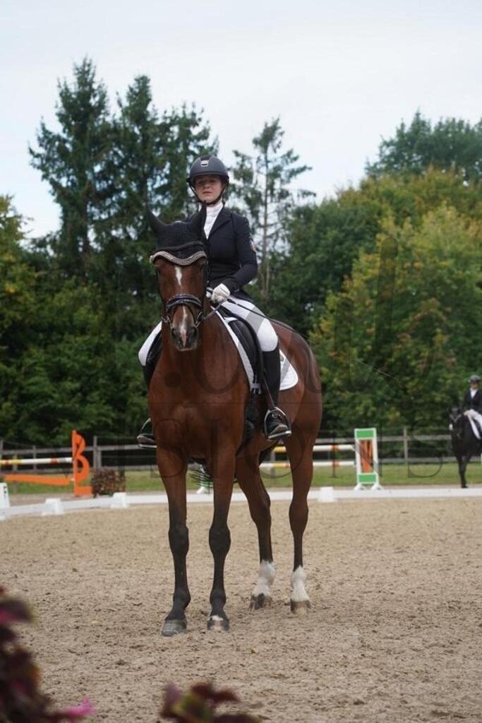 rveinoedsamstag (790) | d.tail Visions - Shop - Realisiert mit Pictrs.com