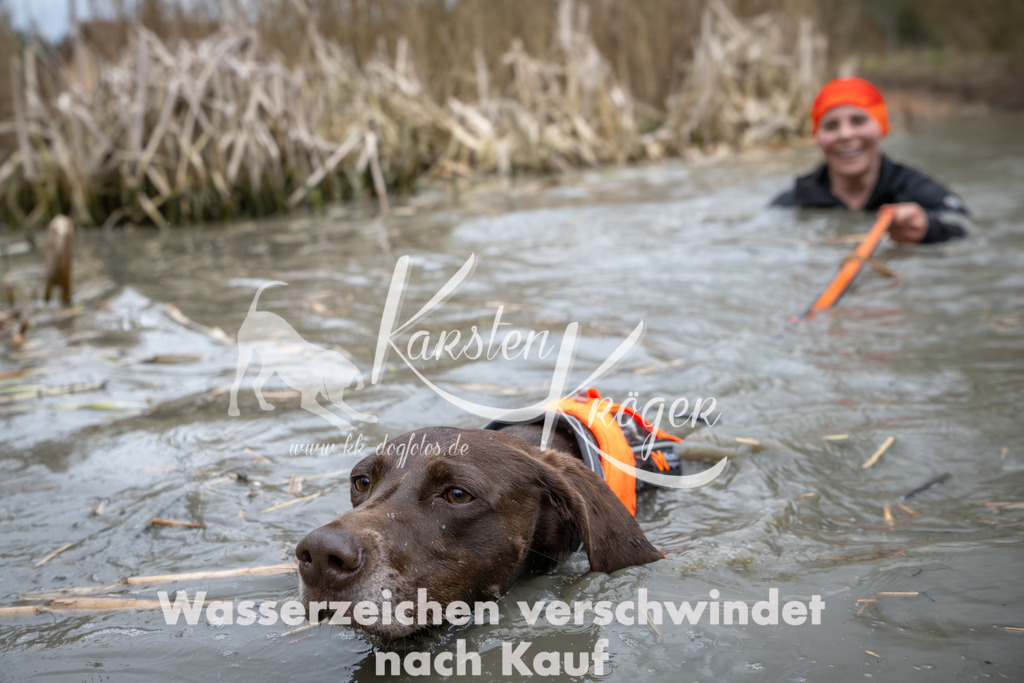 1404_ZZ96221 | kk-dogfotos