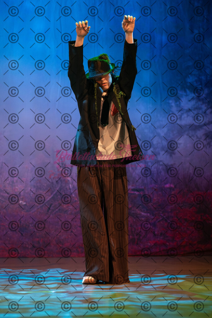 Ballettaufführung-1394 | Bildershop Lem'n Entertainment - Realisiert mit Pictrs.com