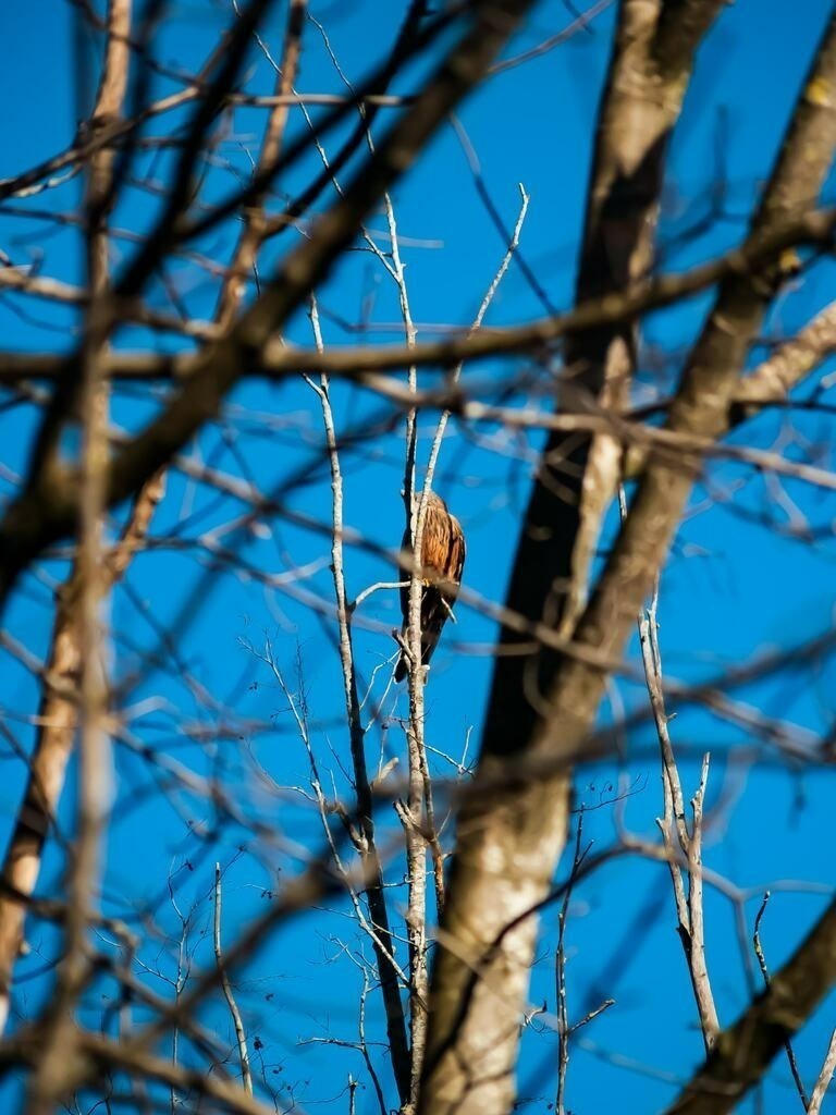 PSX_20230107_223618 | mtkfoto_ - Realisiert mit Pictrs.com