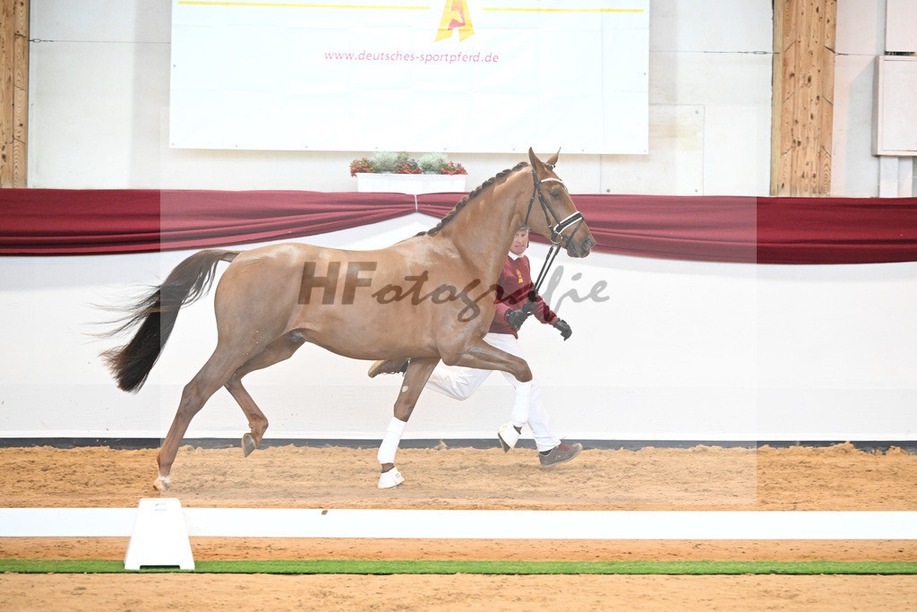 Kat-Nr. 37 v. Jazz_Stahl_66221905 | hf-fotografie - Realisiert mit Pictrs.com