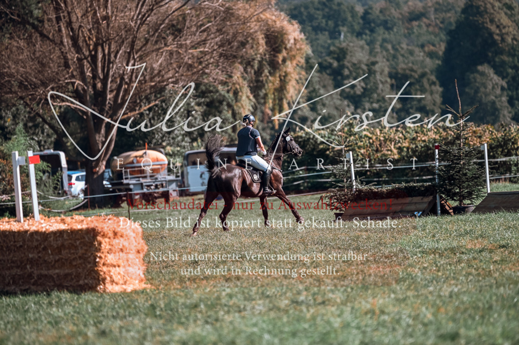 DSC_0584 | Pferde- und Turnierfotografie in Westsachsen. Pferdeportraits, Auftragszeichnungen und intuitive Kunst.